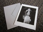 Picture 1 of 8