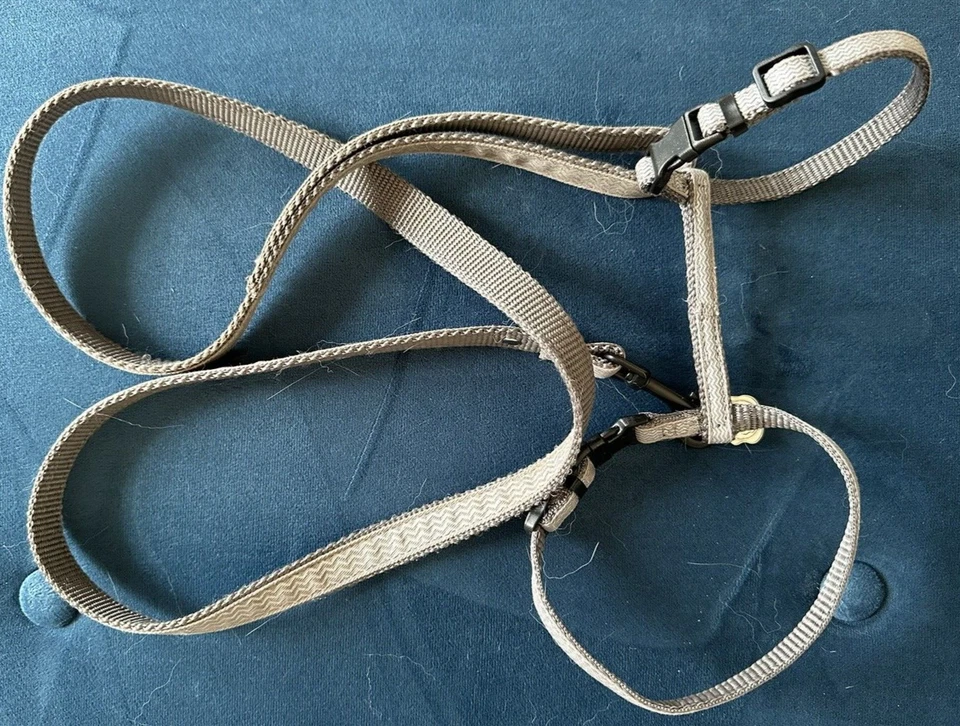 Katzengeschirr mit Leine Größe S / M 120 cm 19-30cm MORE for cats and dogs GRAU