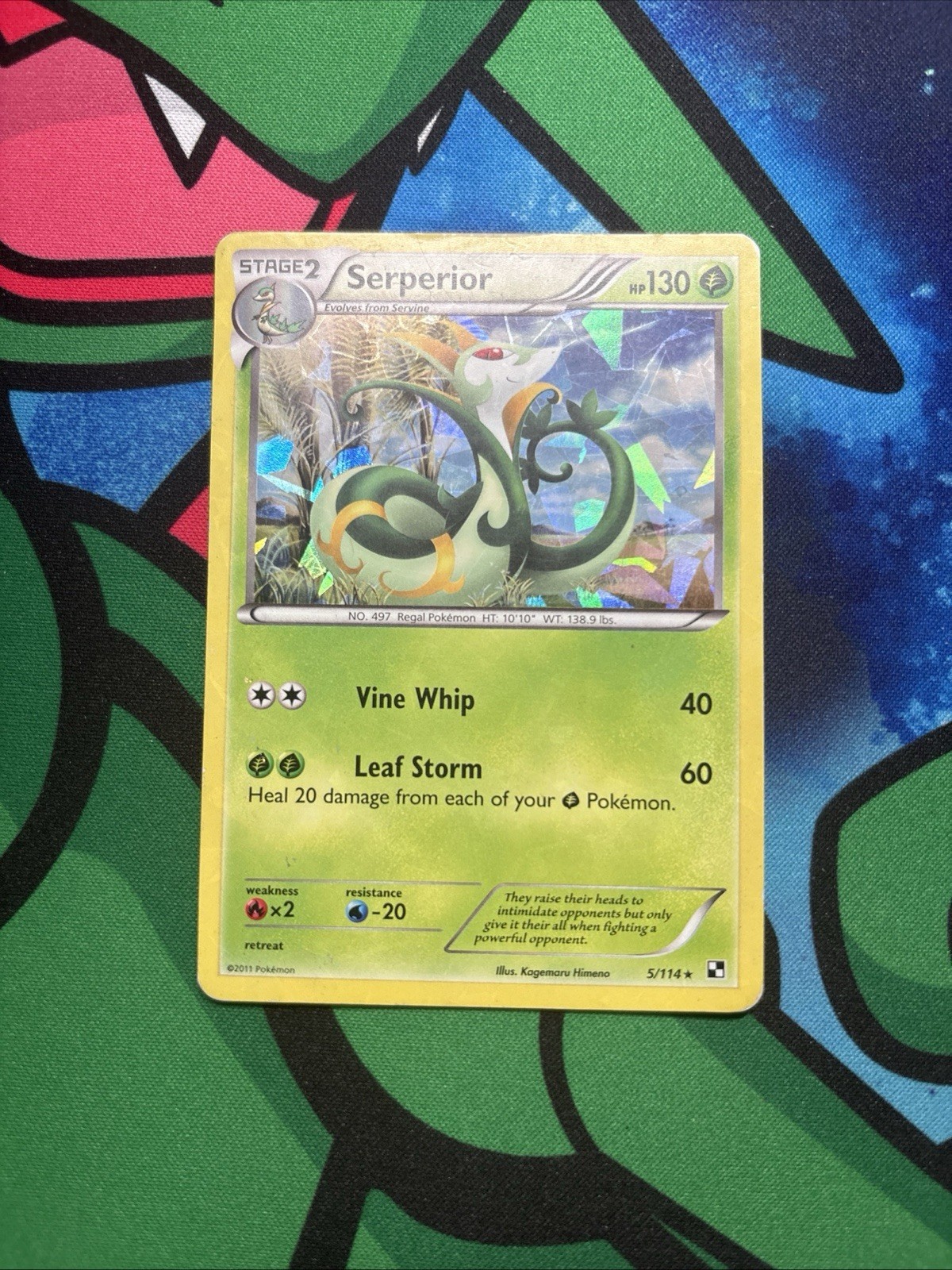 Serperior 5/114 Cracked Ice Holo Black & White Base Set Pokemon Card MP