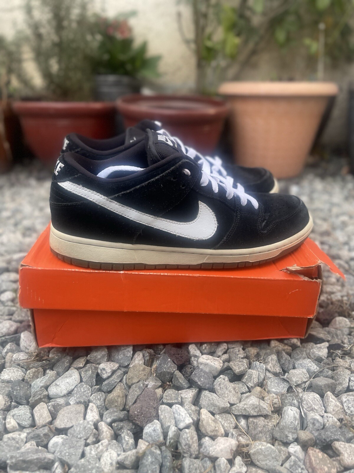 Nike Dunks - image 1