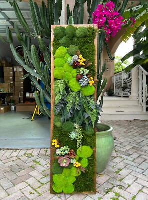Moss Wall Art - Moss Art Framed - Preserved Moss and Ferns, Faux Succulents