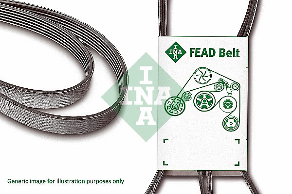 INA FB 6PK1600 V Ribbed Belt Fits Audi Chrysler Dodge Hyundai Kia Opel Seat VW
