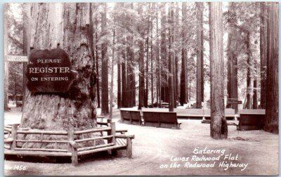 #ad #ad Postcard Entering Lanes Redwood Flat on the Redwood Highway California $8.39