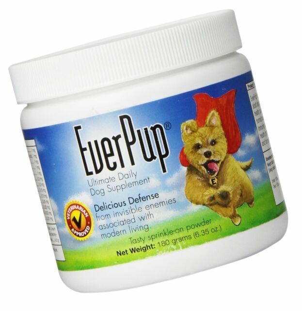 everpup