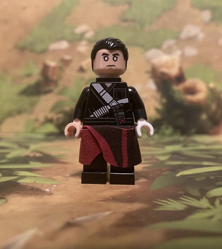 LEGO Star Wars Chirrut Imwe Minifigure SW0789 75152 | eBay
