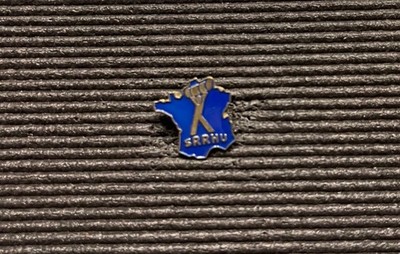 Pin s Collector Rare - Authentic & Old: S.R.R.H.U