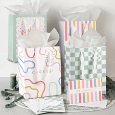 Set of 4 Medium Gift Bags 9 Inch with Handles Tissue Paper Cards Stickers