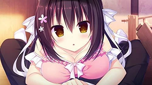 Nintendo Switch Raspberry Cube HAC-P-AT8FA romance adventure game iMel NEW - Image 2 of 4