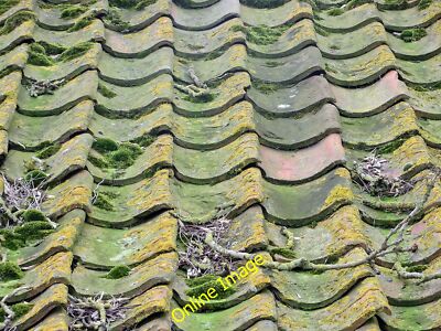 Foto 12x8 verwitterte Pantiles Ryton\/SE7975 auf einer nach Norden ausgerichteten Dachschräge c2014