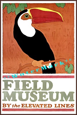 Chicago Field Museum 1924 Elevated Lines Toucan Vintage Poster Retro Style Art