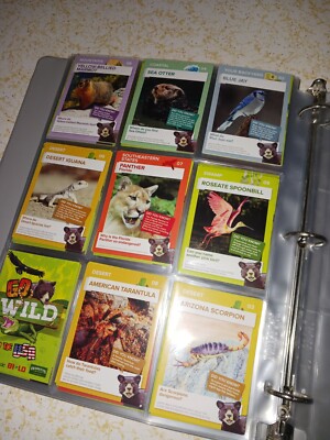 WINN DIXIE GO WILD IN THE USA TRADING CARDS | eBay WINN DIXIE GO WILD IN THE USA TRADING CARDS | eBay