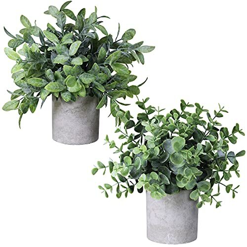 Set of 2 Mini Faux Potted Eucalyptus and Boxwood Plants in Decorative Pots  