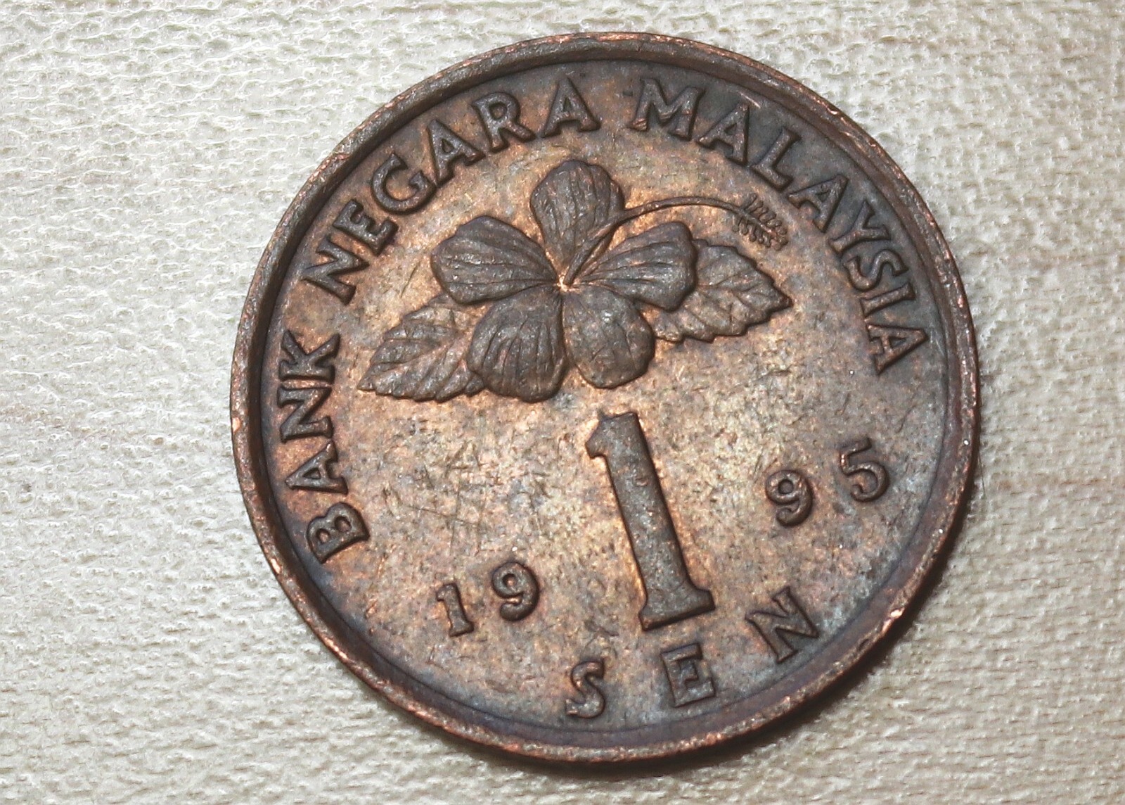 Picture 5 of 6