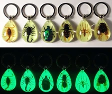 Real Insect Scorpion Chafer Beetle Glowing Keychain Glow in Dark Tear Drop Shape