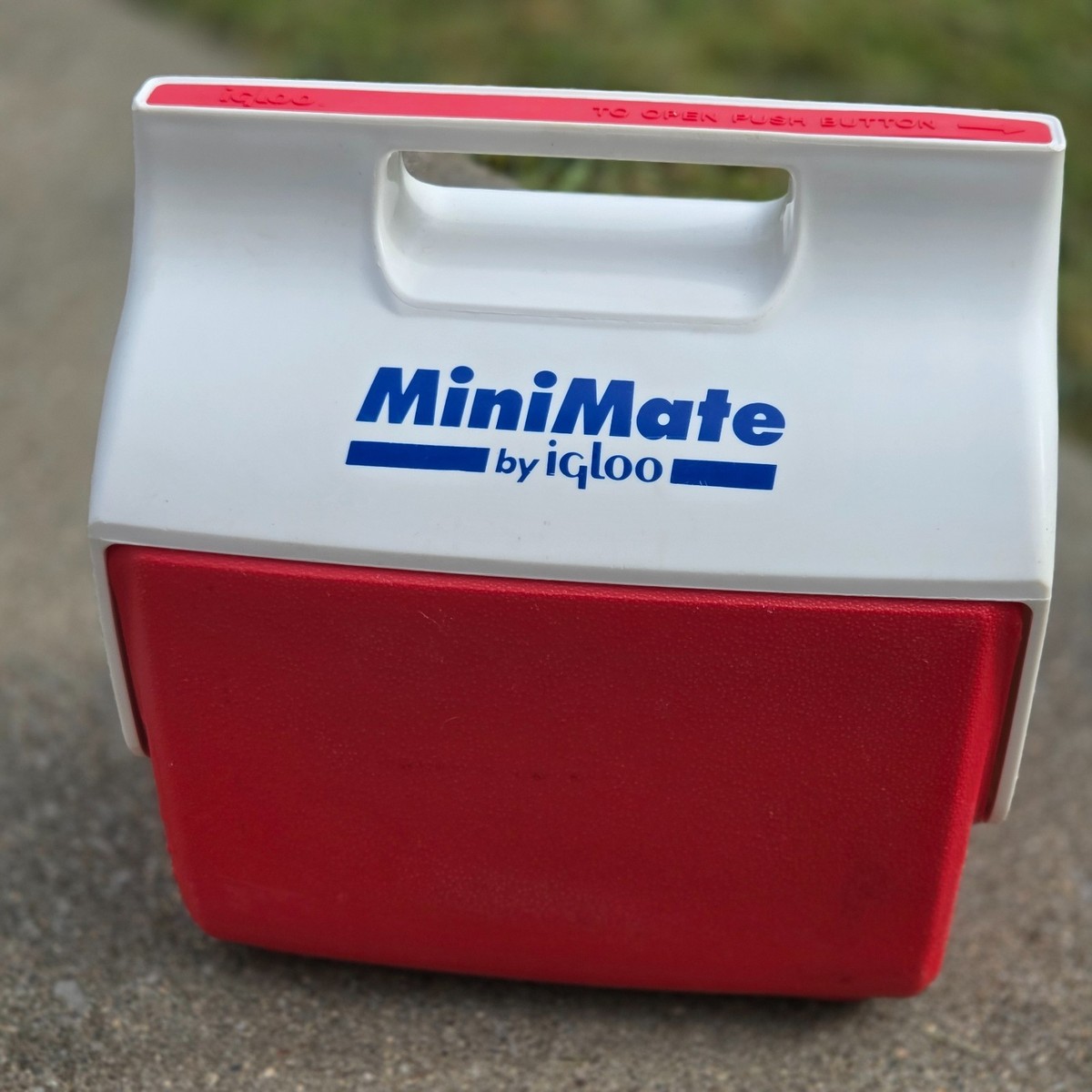 Glacière - IGLOO - Laguna 28 - 26 Litres - Rouge - Isolation Thermecool