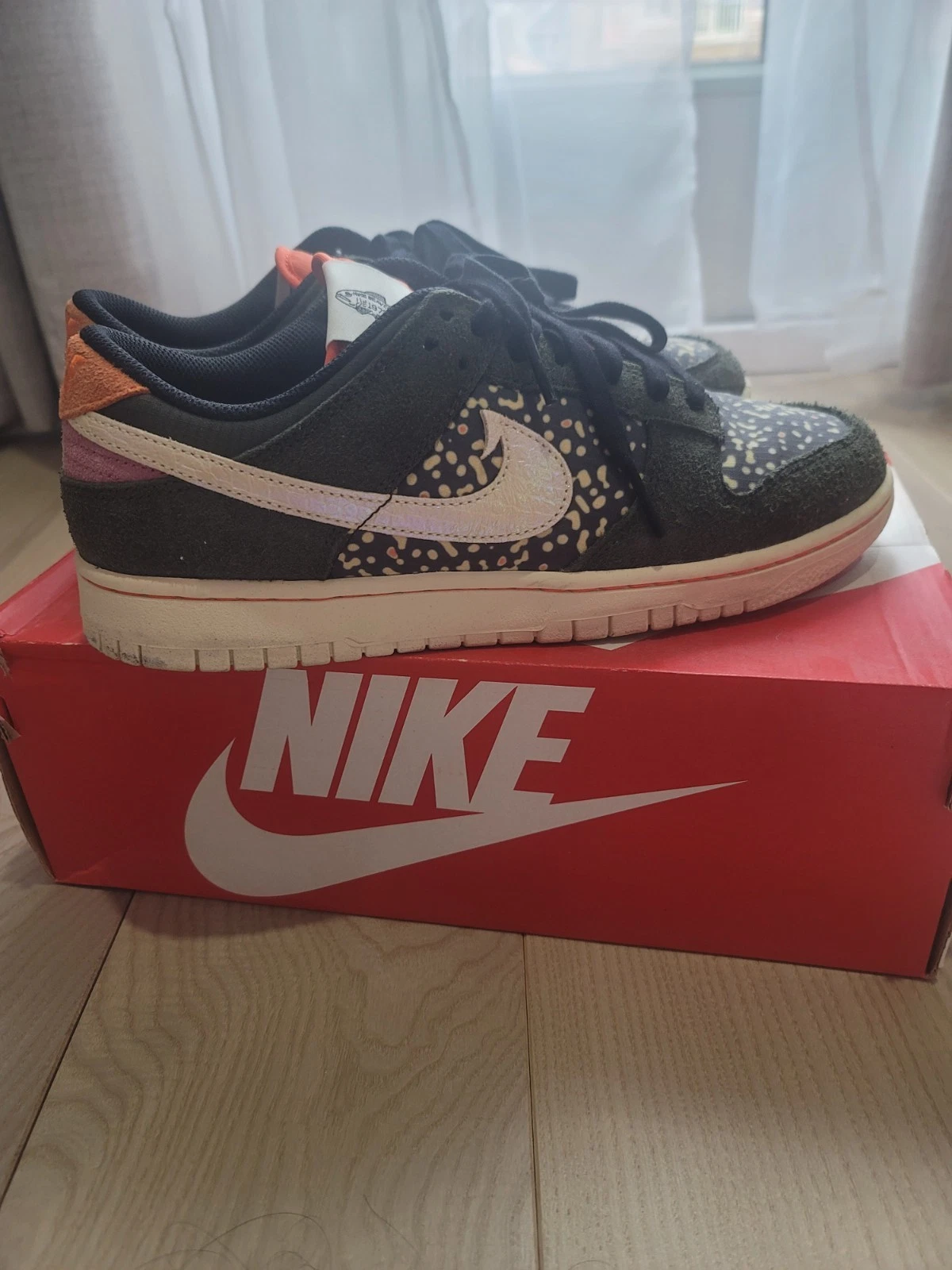 Nike Dunk Low SE "Gone Fishing - Rainbow Trout" Size 9