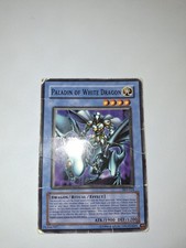 Yu-Gi-Oh! TCG Paladin of White Dragon Kaiba Evolution SKE-024 Unlimited Common