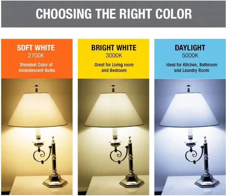 12 Packs - 24 Bulbs - Feit Light Bulb Lamp G9 T4 ~ 60W - Image 4 of 4