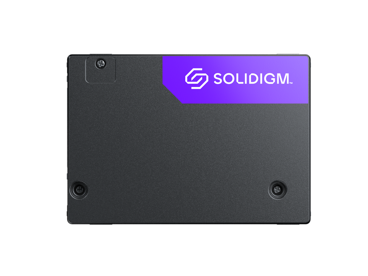Solidigm Solid State Drive D7-PS1030 Series (1.6TB, U.2 15mm