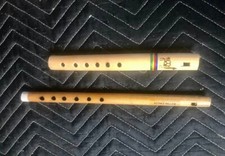 Little Drum 2 Flutes Rhythm Shaker Singalong Fun Sing Songs Folk Friends Family