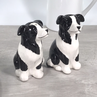 Border Collie novelty Salt & Pepper ceramic shaker cruet set Dog