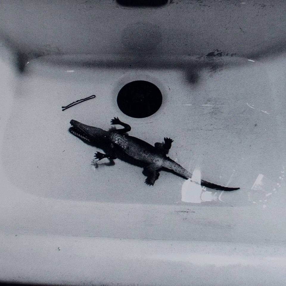 Lothar Baumgarten Caiman Spielzeug Griffelkunst Original Offsetdruck 1978