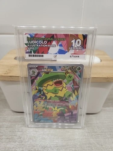 2025 Phantasmal Flames Ludicolo Illustration Rare #095 ACE Graded 10 Gem Mint