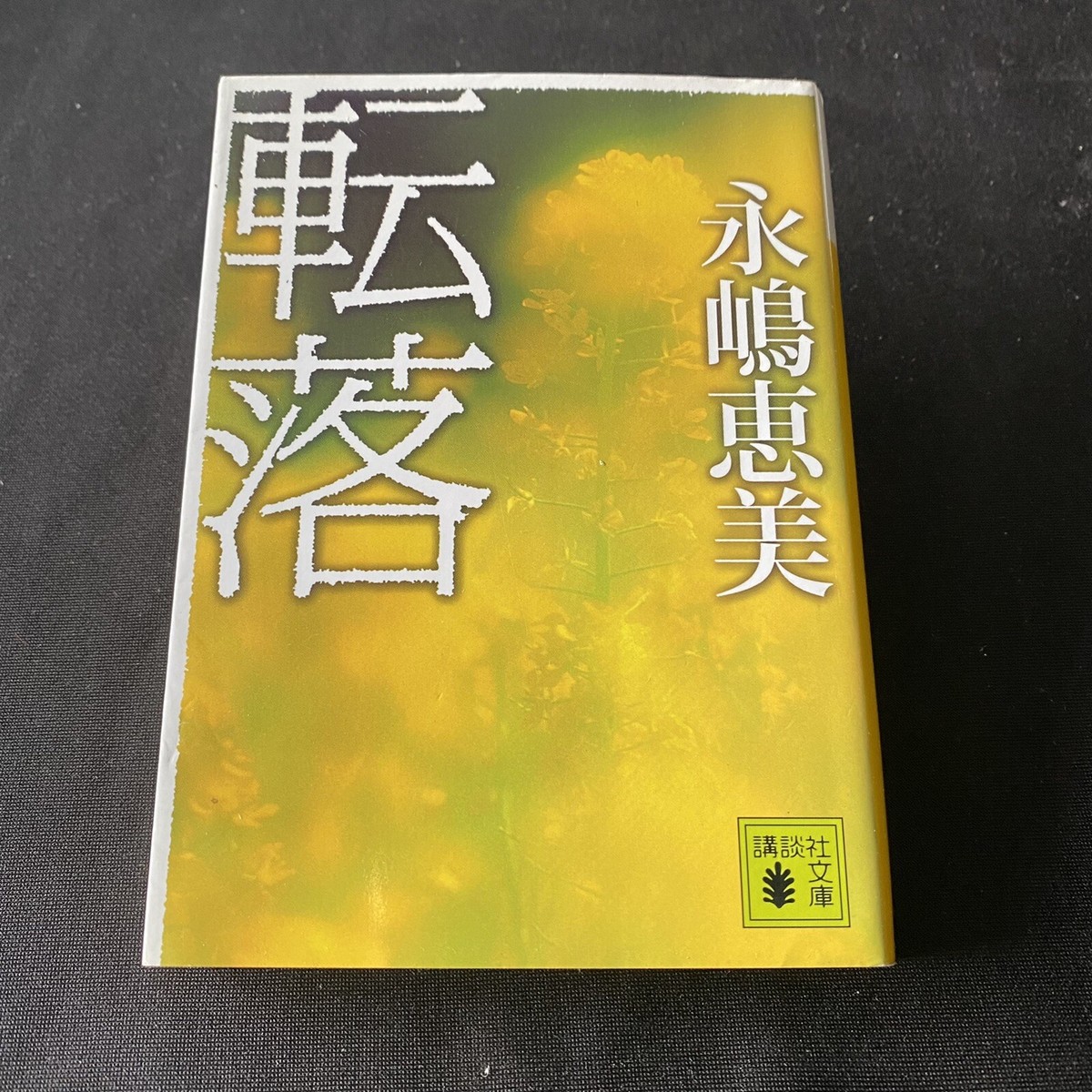 Japanese Novel Book Mystery Emi Nagashima Tenraku Nihongo Japanese Novel Book Mystery Emi Nagashima Tenraku Nihongo