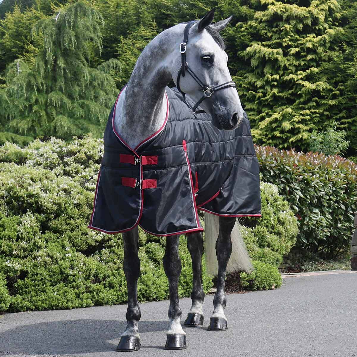 Stable Rugs Best Lightweight Stable Rug With Comparison - May 2025 ...