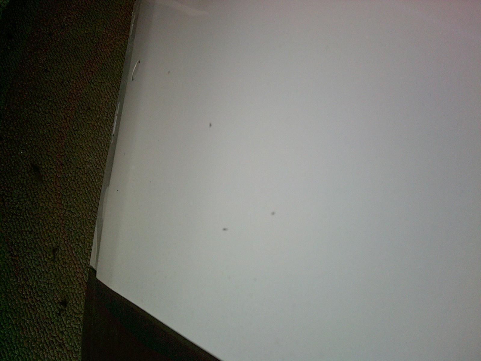 Picture 13 of 20