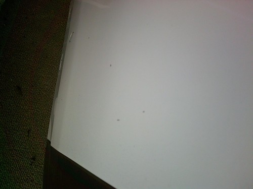2016-2023 TESLA MODEL X Rear Bumper White PPSW OEM - Picture 13 of 20