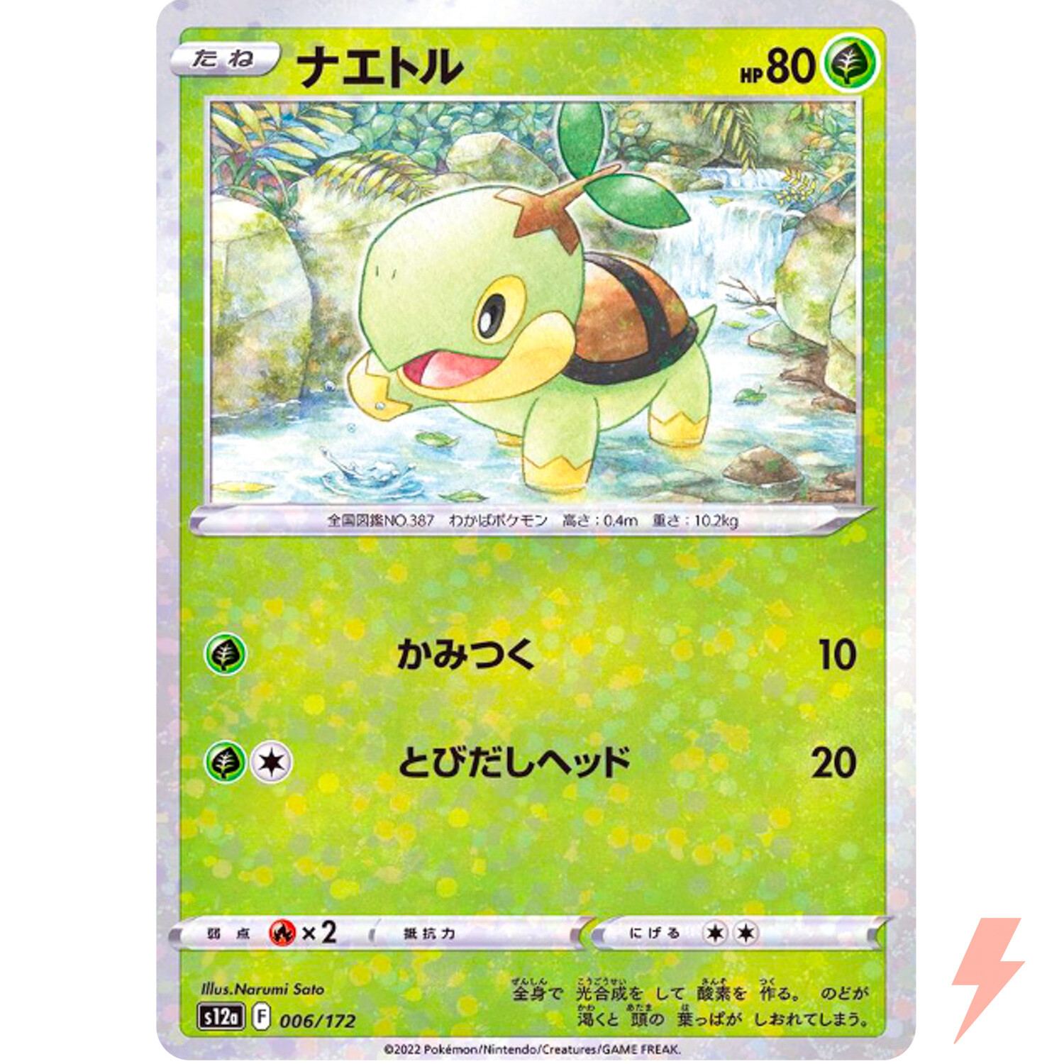 Turtwig (Reverse Holo) 006/172 S12a VSTAR Universe - Pokemon Card Japanese