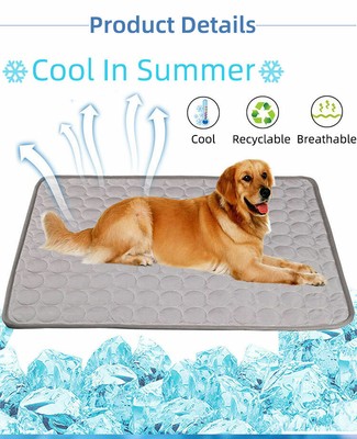 cooling mat for dogs near me