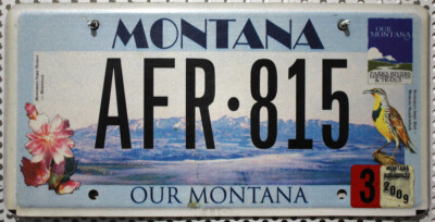 Montana Nummernschild USA Auto-Kennzeichen  License Plate BLUME VOGEL Motiv AFR