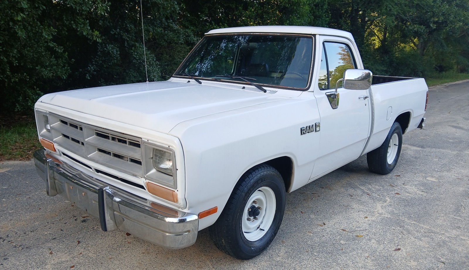 1990 Dodge D150 for sale in Macon Georgia