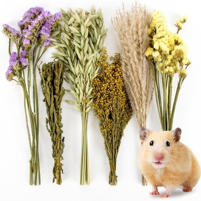 Sukh 42Pcs Herb Bedding Habitat Decor - Natural Flower Hamster Mate Herbs... 
