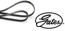 Gates K014PK788 Keilrippenriemensatz Keilriemen Satz Keilriemensatz für Smart 