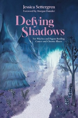 Defying Shadows by Jessica  Settergren PAPERBACK 9781959883944