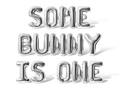 SOME BUNNY IS ONE Letter Balloon Banner - 1st Birthday Party Supply Decorations