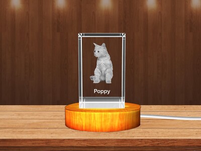 Personalized 3D Crystal Gifts for Pet Lovers