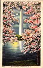 Washington Memorial Chery Blossoms at Night Washington DC VTG Linen Postcard B38