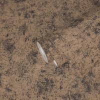 Tapete Mit Metalliceffekt GläNzend Glatt – Beige, Schwarz, Metallic