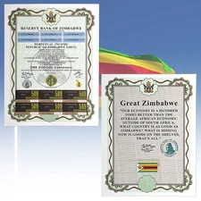 One Googol Containers Zimbabwe Paper Certificate UV Banknote with Serial Number