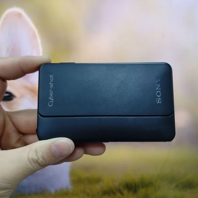 Sony Cyber-shot DSC-TX10 16.2MP CMOS Digital Camera ENGLISH -Black