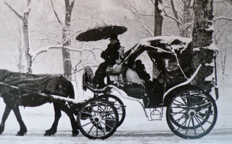 Fotografía de bellas artes firmada por artista original artista de Nueva York fotógrafo Sam Kash Foto 2 de 4