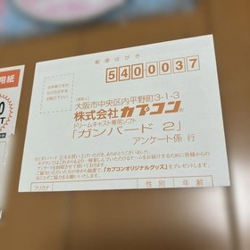 Dreamcast Gunbird 2 Postcard