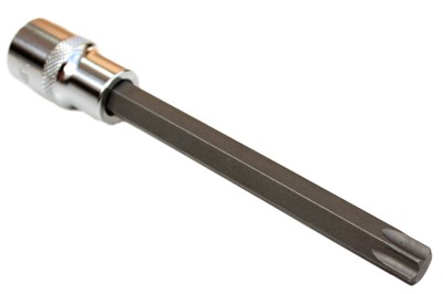 Torx Nuss 1/2'' Zoll T80, Industriequalität