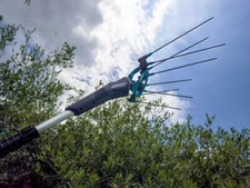 Abbacchiatore elettrico Campagnola Master asta cm.185/270