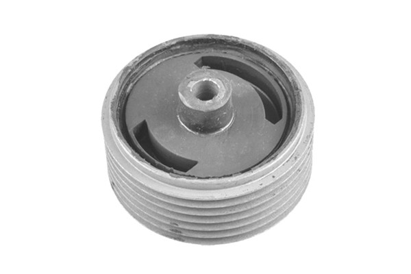 Support moteur Tedgum 00465204 pour supprimer les vibrations au ralenti