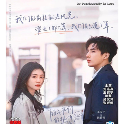 Be Passionately in Love (2025)   Custom DVD Fan Edition | Romantic Drama | Eng S